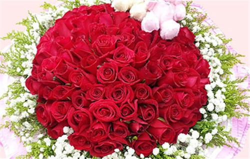 12支玫瑰花代表什么意思