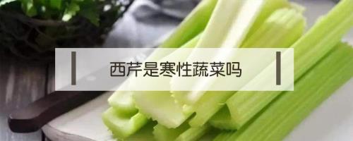 十大寒性蔬菜排名