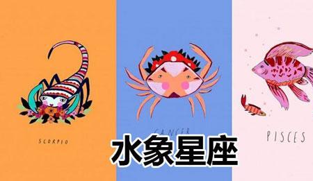什么是水象星座