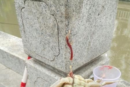 晚上长江螃蟹怎钓
