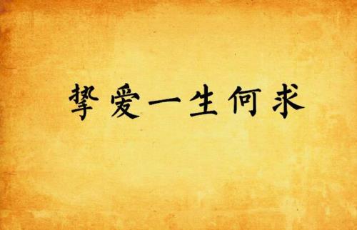 挚爱一生是是什么意思