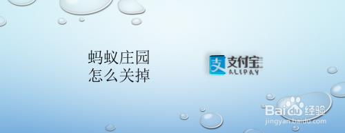 蚂蚁庄园怎么注销