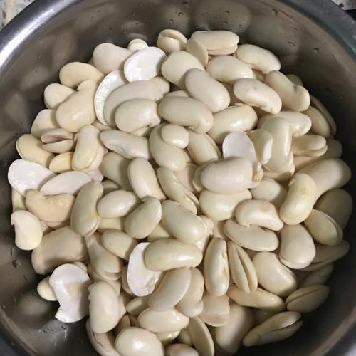 白芸豆外壳长什么样