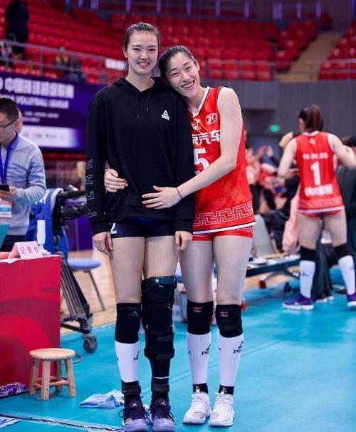 女排与常人身高对比