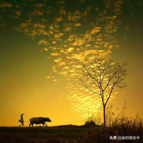 闲逸的意思是什么