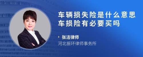 车辆损失险第一年必须买吗
