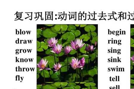 Fly变现在分词怎么变