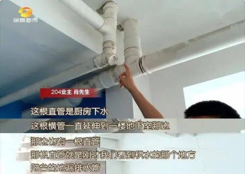 二楼反水什么意思