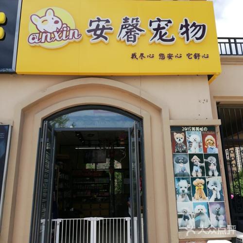 杭州八戒宠物店现在生意怎么样