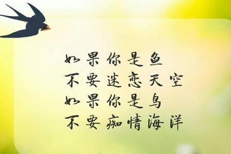 无缘遇不到有缘忘不掉什么意思
