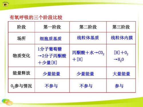 有氧呼吸方程