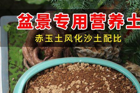南雀盆景可以用赤玉土吗