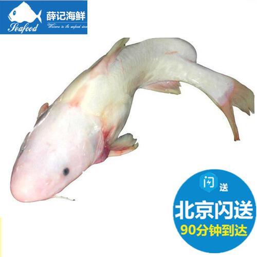 江团鱼和清江鱼哪个刺少