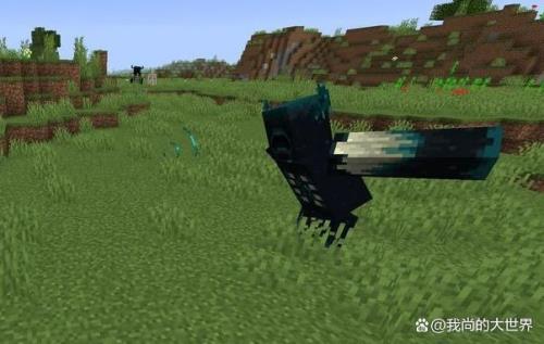 网易版循声守卫多久更新