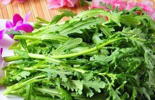 茼蒿有虫子怎么清洗