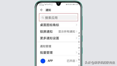 苹果13手机有智慧助手吗
