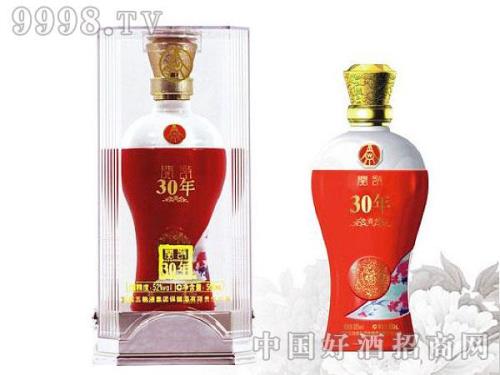五粮液五福吉运什么价