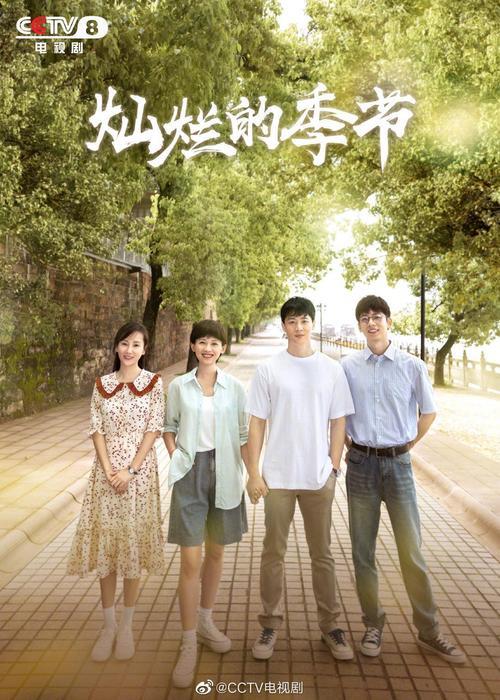 灿烂的季节李成飞后来结局