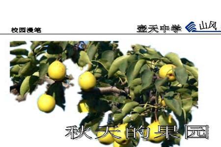 秋天的果园像什么一样诱人