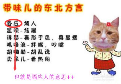 东北话太仙了什么意思
