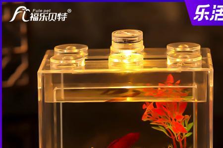 缸养螃蟹可以养到多大