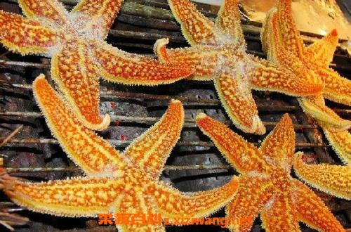 干海星泡发的正确步骤