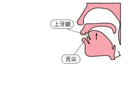 鱼南东采哪一个是前鼻音