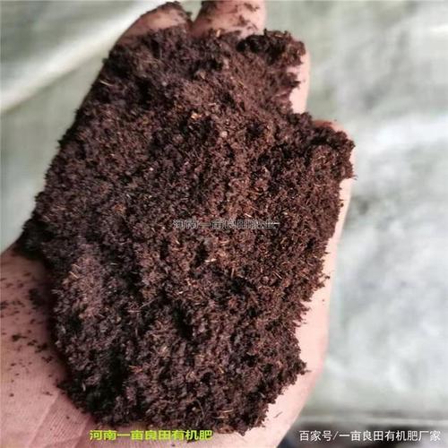 绿菌珠小螺号有机肥多少钱一吨