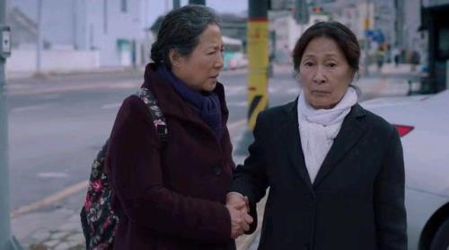 我们的蓝调东昔和妈妈怎么了