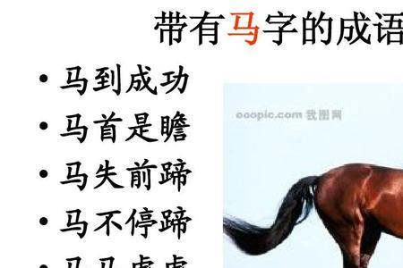 带三的字的动物成语