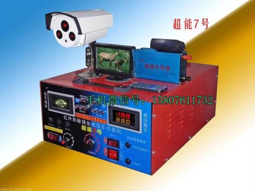 电杀猪需多少伏电压