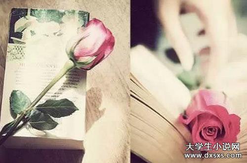 中午饭点怎么幽默的问候女生