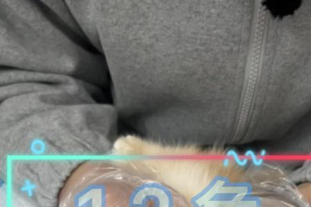 12色金渐层能不能有环
