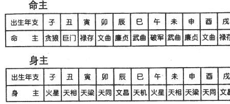子年斗君是什么意思