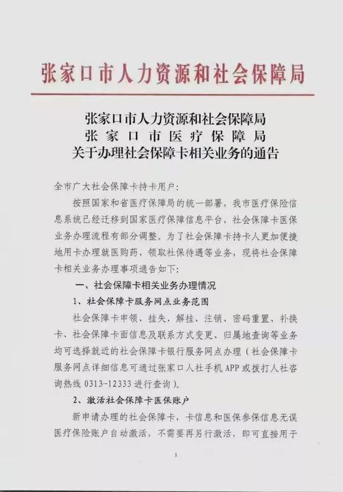 河北省张家口社保网上怎么缴费