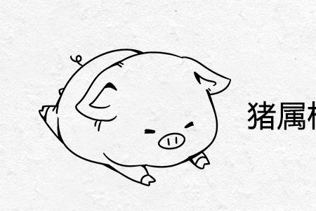 虚岁实岁毛岁段子