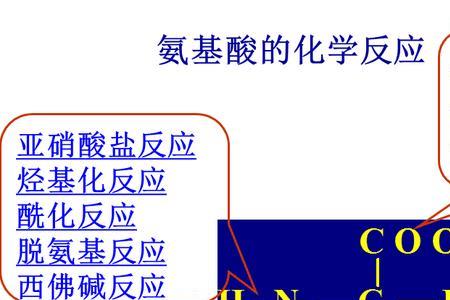 乙醇和氨基酸反应方程式