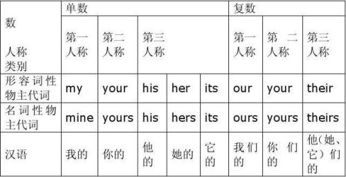 theirs的人称代词