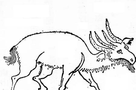 角羊虫是什么字