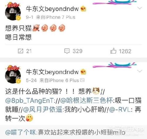 女朋友说你牛怎么回复