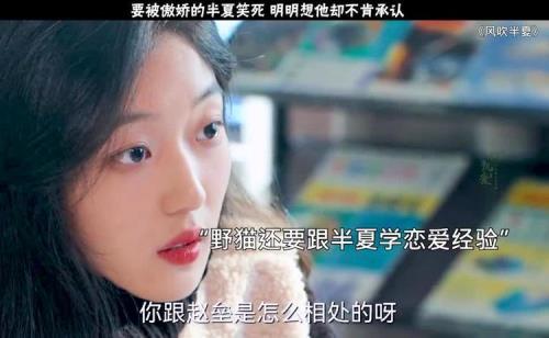 风吹半夏赵磊是谁