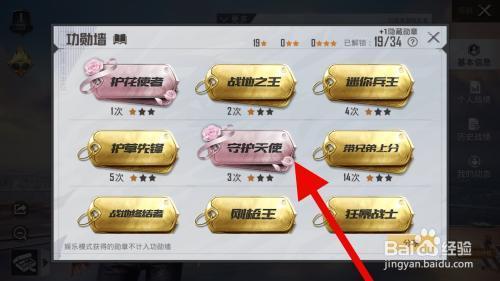 和平精英功勋各种意思