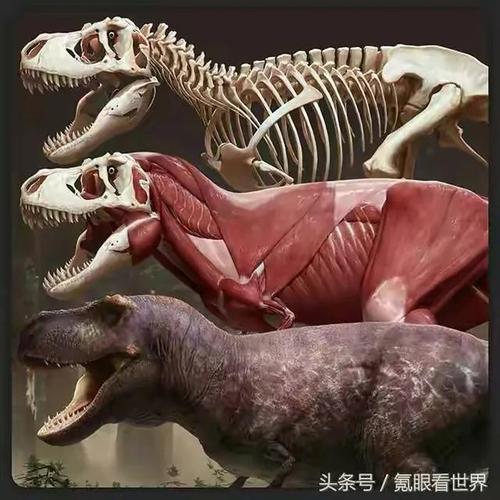 霸王龙成长需要多长时间