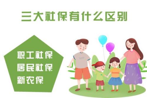 农保包括哪些
