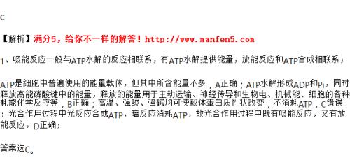 什么是吸能反应和放能反应