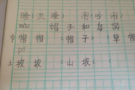 弹字的组词是什么