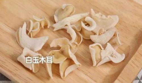 薄树芝炖什么