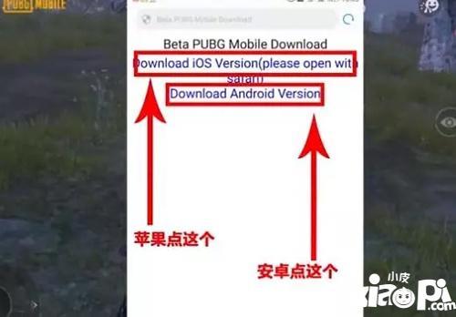 pubg国际服体验服为什么要排队