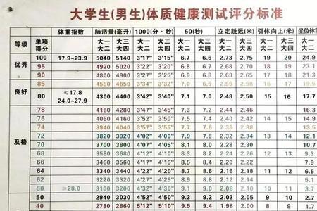 大学生体测标准
