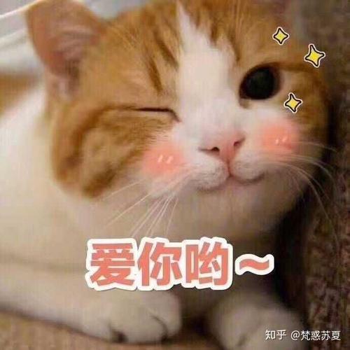 萌萌的是什么意思